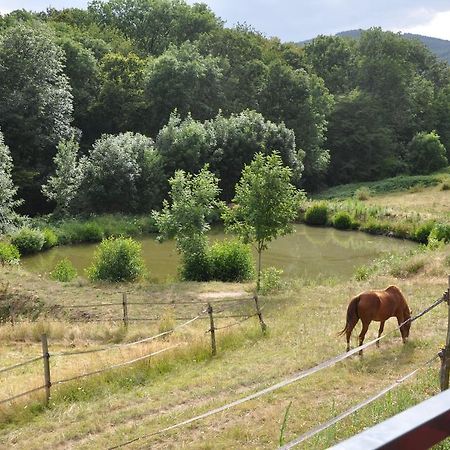 Bed and Breakfast La Bergerie Pollionnay Экстерьер фото