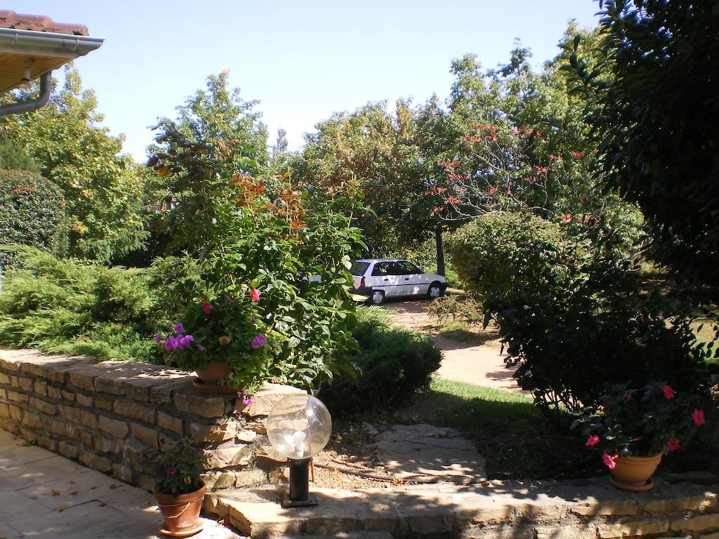 Bed and Breakfast La Bergerie Pollionnay Экстерьер фото