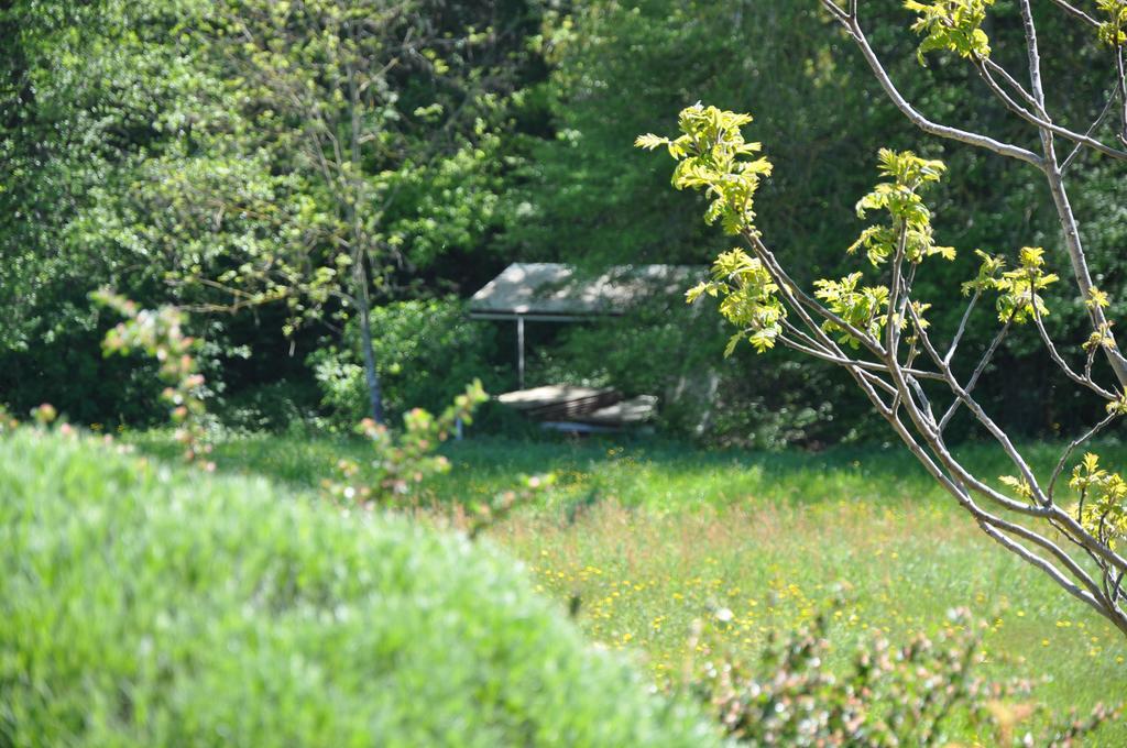 Bed and Breakfast La Bergerie Pollionnay Экстерьер фото