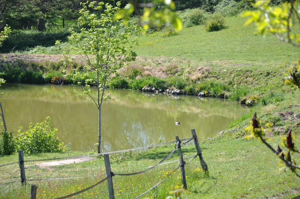 Bed and Breakfast La Bergerie Pollionnay Экстерьер фото