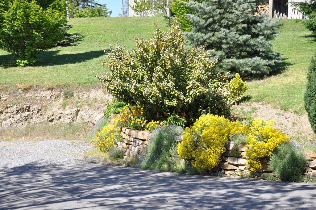 Bed and Breakfast La Bergerie Pollionnay Экстерьер фото