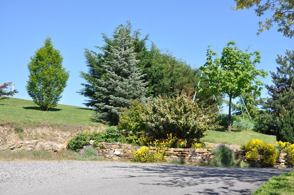 Bed and Breakfast La Bergerie Pollionnay Экстерьер фото