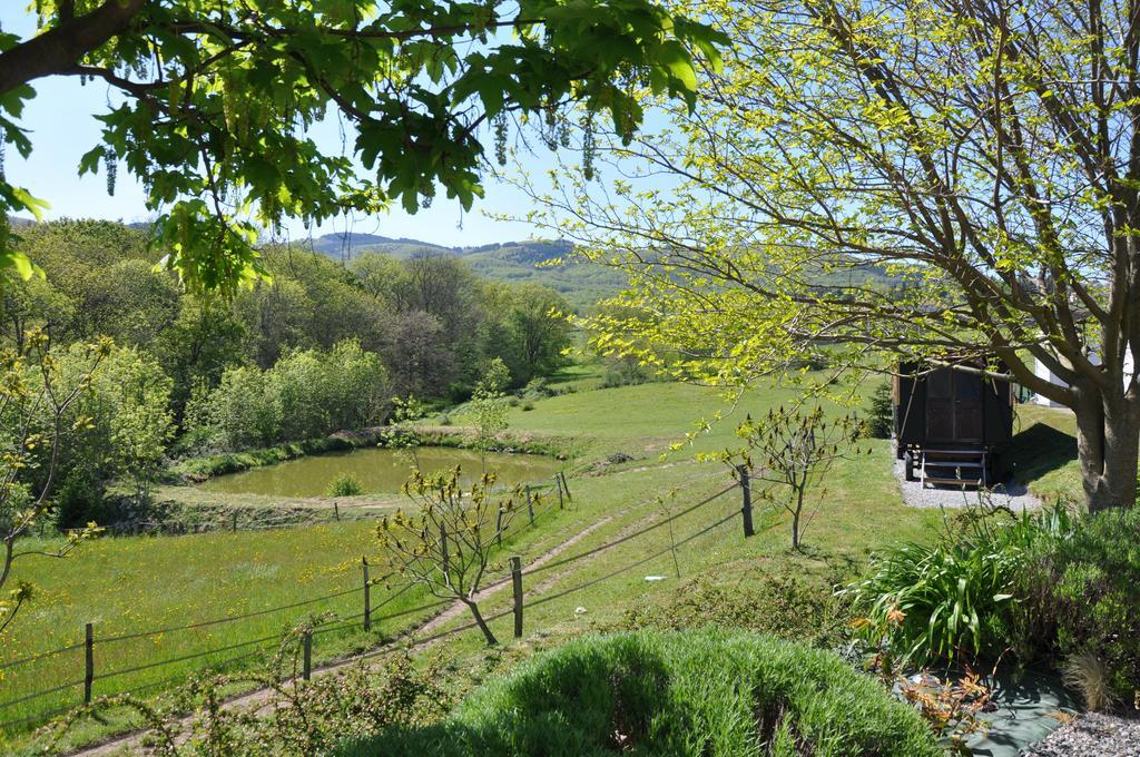 Bed and Breakfast La Bergerie Pollionnay Экстерьер фото