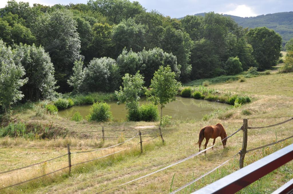 Bed and Breakfast La Bergerie Pollionnay Экстерьер фото