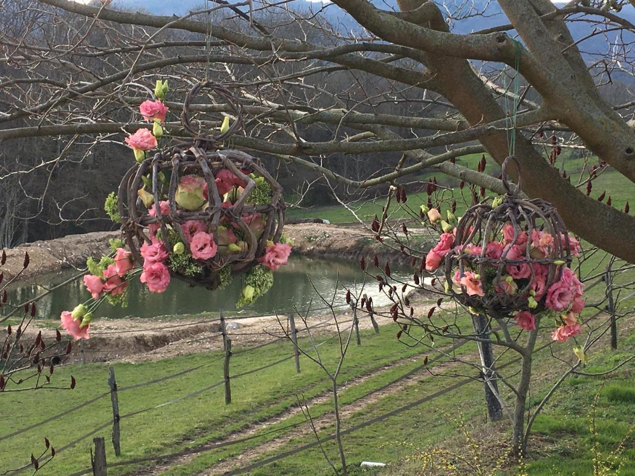 Bed and Breakfast La Bergerie Pollionnay Экстерьер фото